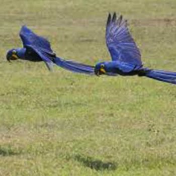 Segurança do trabalho e meio ambiente